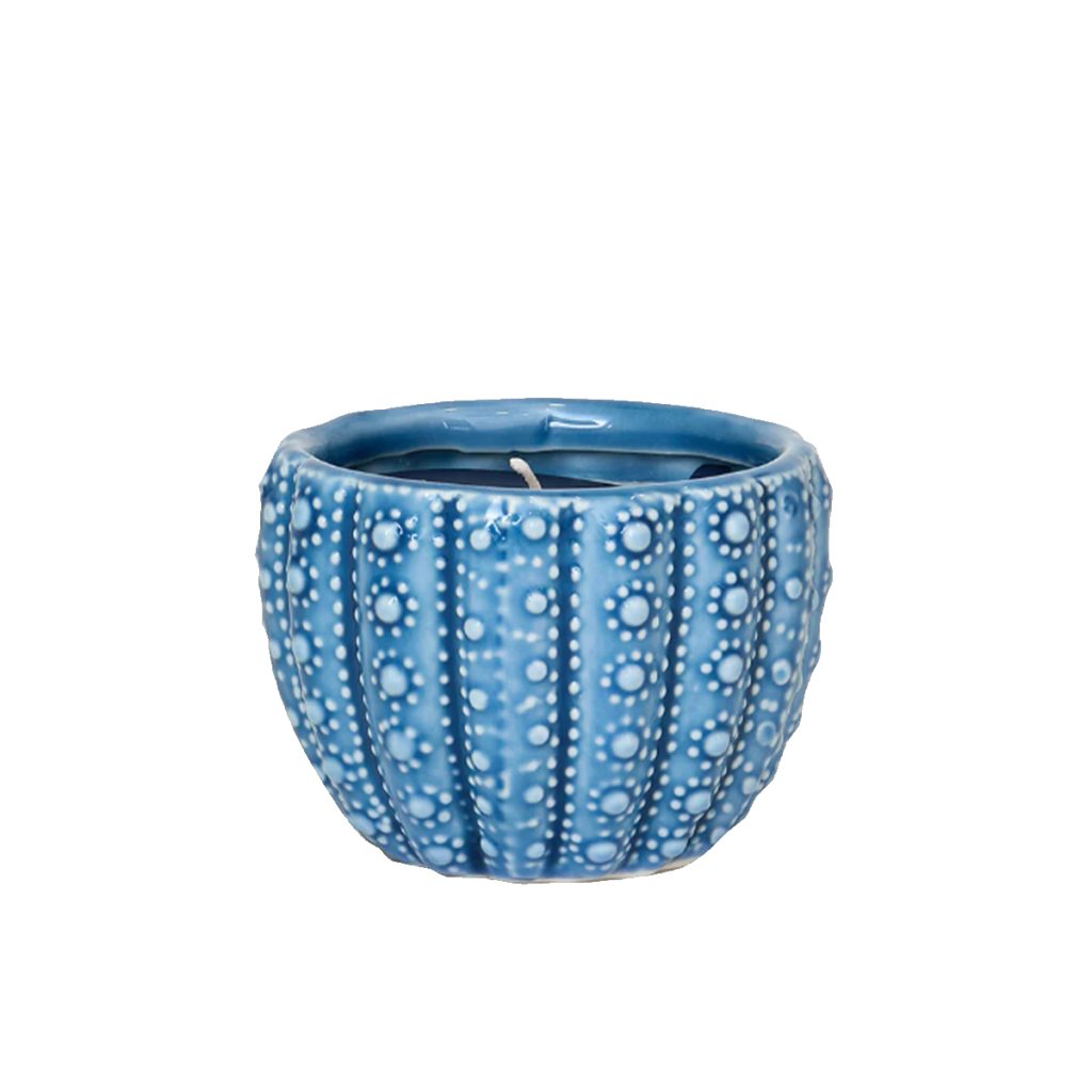Sea Urchin Candle
